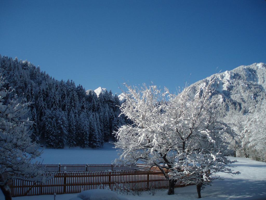 Farm Kosir Villa Kranjska Gora Bagian luar foto