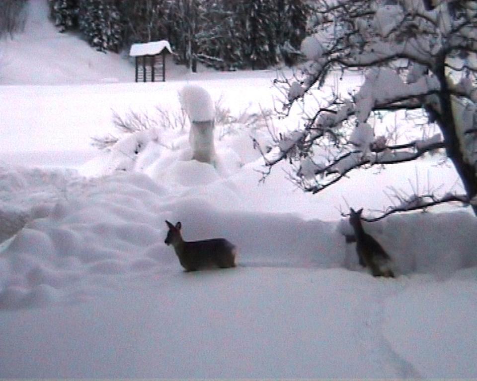 Farm Kosir Villa Kranjska Gora Bagian luar foto